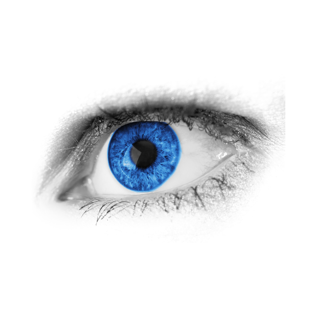 Dry Eye Collection