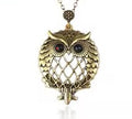 Owl Magnifier Special Design Pendant 2x